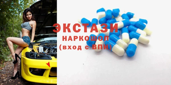 эйфоретик Щигры