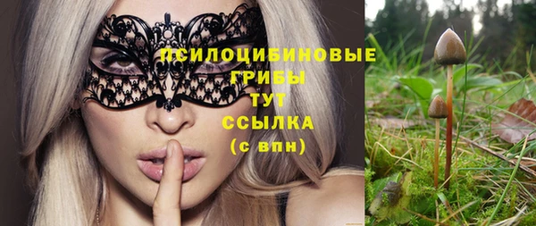 apvp Богданович