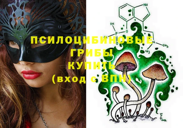 apvp Богданович